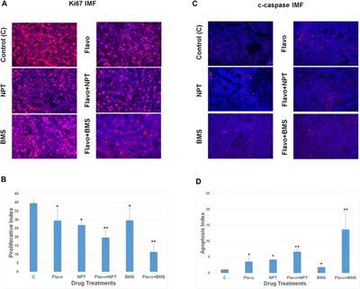 Therapeutic Potential of the Cyclin-Dependent Kinase Inhibitor Flavopiridol on c-Myc Overexpressing Esophageal Cancer